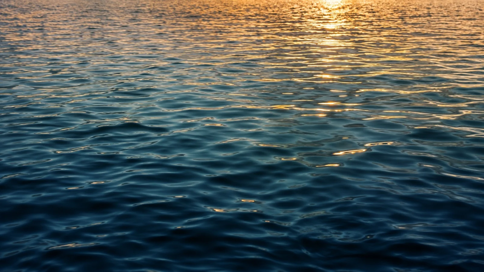Warm evening light on water